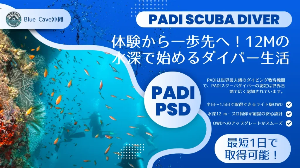 PADIスクーバダイバーコースの様子